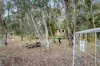 1685 Gerogery Road, Gerogery, NSW 2642-Image