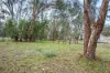 1685 Gerogery Road, Gerogery, NSW 2642-Image