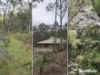 1686 Maulbrooks Road, Mogendoura, NSW 2537-Image