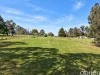 169 Great Alpine Road, Bruthen, Vic 3885-Image