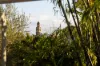169 James Street, New Farm, Qld 4005-Image