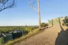 169 Nielsons Road, Good Night, Qld 4671-Image