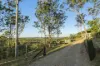 169 Nielsons Road, Good Night, Qld 4671-Image