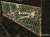 169 Versteeg Grove, Martin, WA 6110-Image
