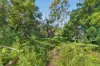16A LANDSEER ROAD, Hazelbrook, NSW 2779-Image