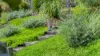 16C Azalea Street, Mullumbimby, NSW 2482-Image