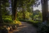 17-19 Church Lane, Mount Wilson, NSW 2786-Image