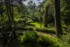 17-19 Church Lane, Mount Wilson, NSW 2786-Image