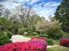17-19 Church Lane, Mount Wilson, NSW 2786-Image
