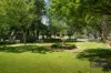 17-19 Swan Street, Wangaratta, Vic 3677-Image