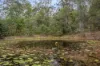 17 Abbott Road, Glenwood, Qld 4570-Image
