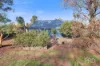 17 Allnutt Street, Quirindi, NSW 2343-Image