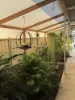 17 Areca Court, Cobram VIC 3644-Image