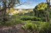 17 Ballyshannon Road, Killarney Heights, NSW 2087-Image