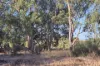 17 Blackboy Court, Woodridge, WA 6041-Image