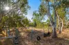 17 Blackboy Court, Woodridge, WA 6041-Image