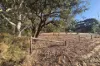 17 Blackboy Court, Woodridge, WA 6041-Image