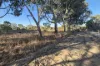 17 Blackboy Court, Woodridge, WA 6041-Image