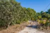 17 Blackboy Court, Woodridge, WA 6041-Image