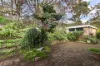 17 Blackthorn Avenue, Hawthorndene, SA 5051-Image