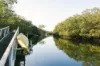 17 Bodalla Street, Norman Park, Qld 4170-Image