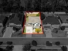17 Boddingtons Road, Glenfield, NSW 2167-Image