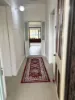 17 Bombelli Street, Bingara, NSW 2404-Image