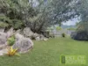 17 Boulder Court, Nelly Bay, Qld 4819-Image