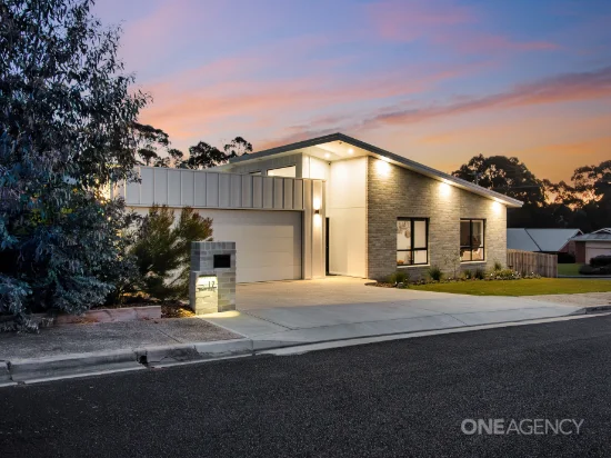 17 Brady Place, Somerset, Tas 7322