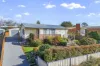 17 Button Street, Scottsdale, Tas 7260