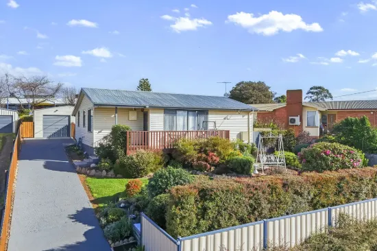 17 Button Street, Scottsdale, Tas 7260