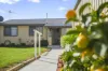 17 Button Street, Scottsdale, Tas 7260-Image
