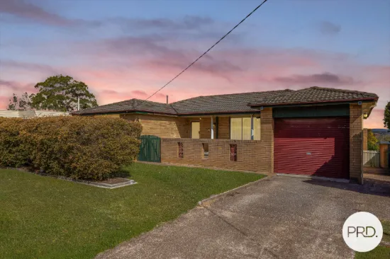 17 Byng Street, Tenambit, NSW 2323
