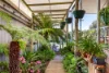 17 Canrobert Street, Newstead, Vic 3462-Image