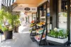 17 Carrington Street, Paddington, Qld 4064-Image