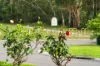 17 Cavers Street, Currans Hill, NSW 2567-Image