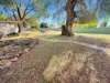 17 Cedar Street, Leeton, NSW 2705-Image