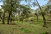 17 Charlick Road, Crafers West, SA 5152-Image