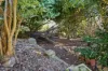 17 Church Street, Cygnet, Tas 7112-Image