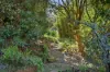 17 Church Street, Cygnet, Tas 7112-Image