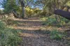 17 Church Street, Cygnet, Tas 7112-Image
