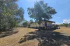 17 Church Street, Gundy, NSW 2337-Image