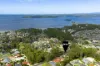 17 Claylands Drive, St Georges Basin, NSW 2540-Image