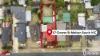 17 Clowes Street, Melton South, Vic 3338-Image