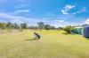 17 Clydesdale Avenue, Branyan, Qld 4670-Image