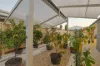 17 Como Drive, Irymple, Vic 3498-Image