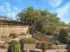 17 Coombe Terrace, Waikerie, SA 5330-Image