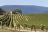 17 Cruz Court, Yarra Glen, Vic 3775-Image