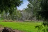 17 Cunliffe Street, Macclesfield, SA 5153-Image