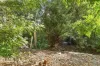 17 Currajong Crescent, Craigie, WA 6025-Image
